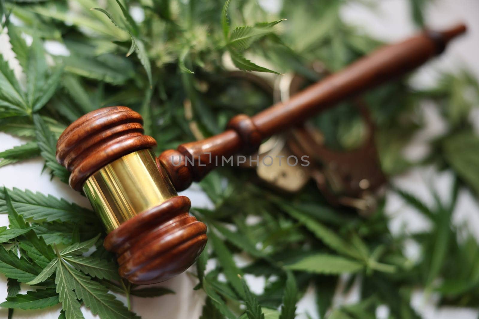 Judge wooden gavel and handcuffs on green marijuana leaves closeup by kuprevich