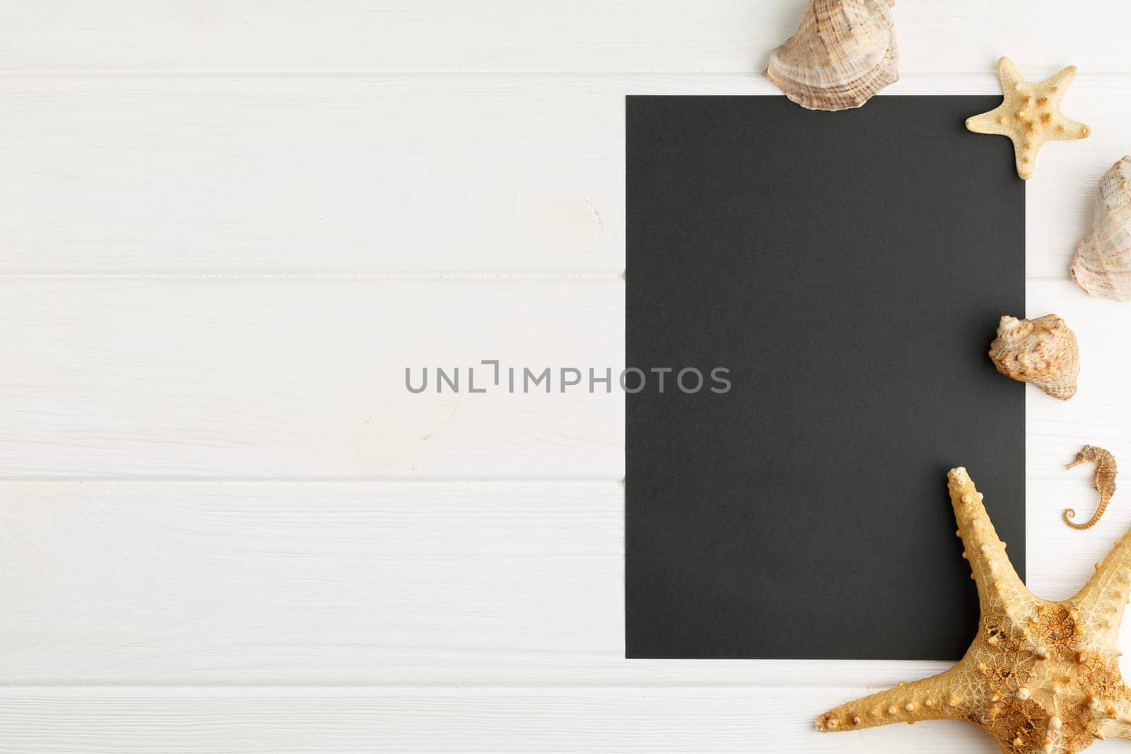 Black board with chalk on white wooden background with copyspace. Starfish and seashells with rope. Flat lay. Beach service banner.