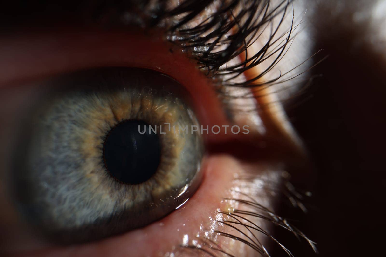 Extreme closeup macro Image of human eye by kuprevich