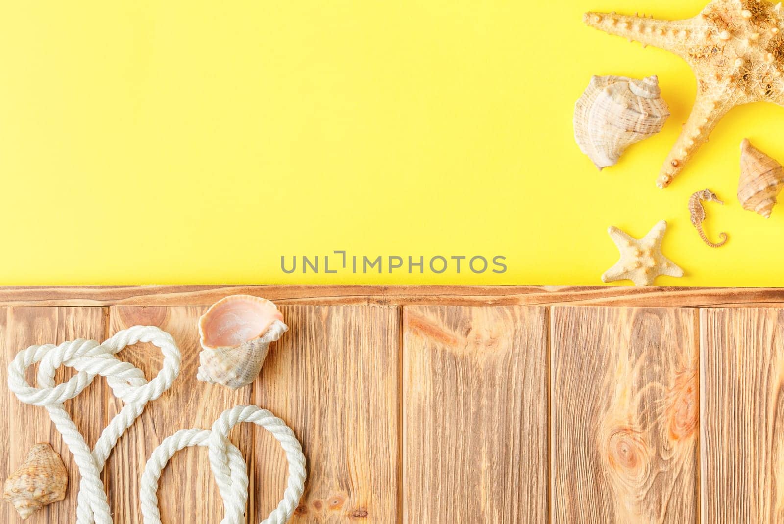 Nautical rope and seashells on wooden background with yellow copy space. Flat lay. Summer vacation concept. Starfish and seahorse. Top view.