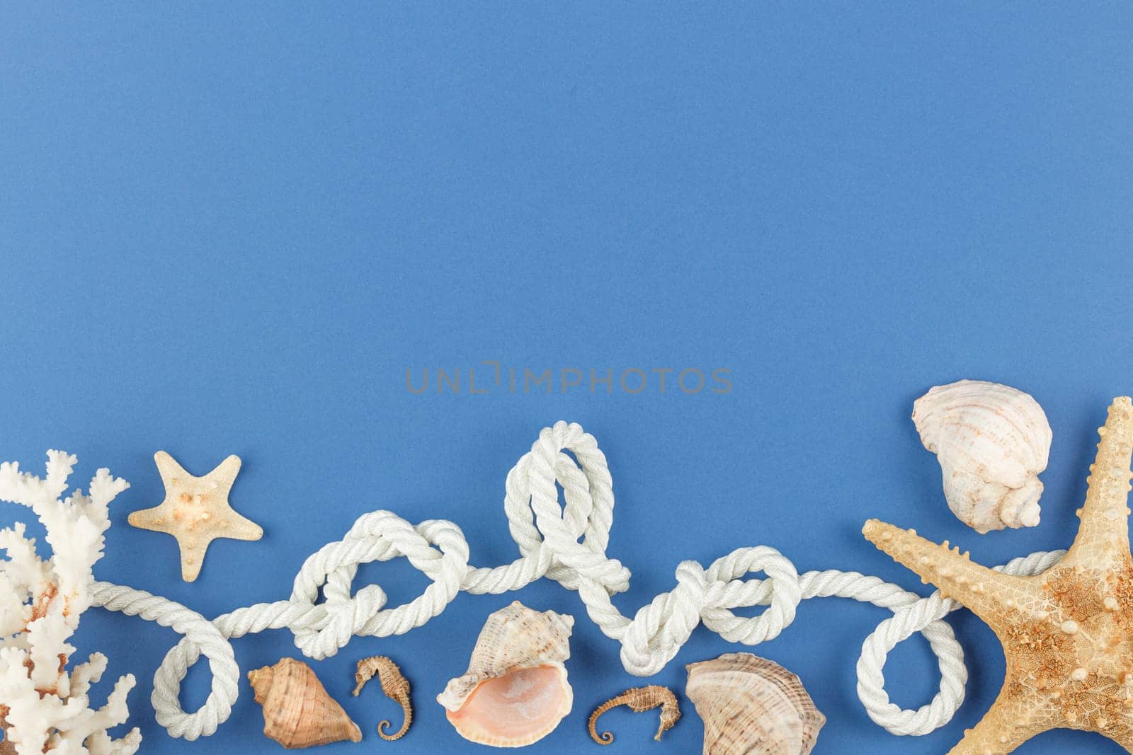 Seashells with starfish on blue isolated background. Top view. Summer beach vacation concept. Marine rope and white corals. Flat lay.