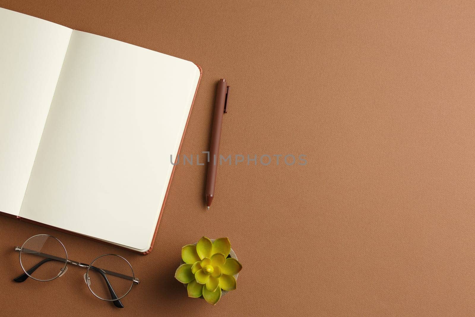 Craft open book with fountain pen, glasses and home plant with green leaves in a pot on brown background. Organizer on the work table. Diary for notes. Top view.