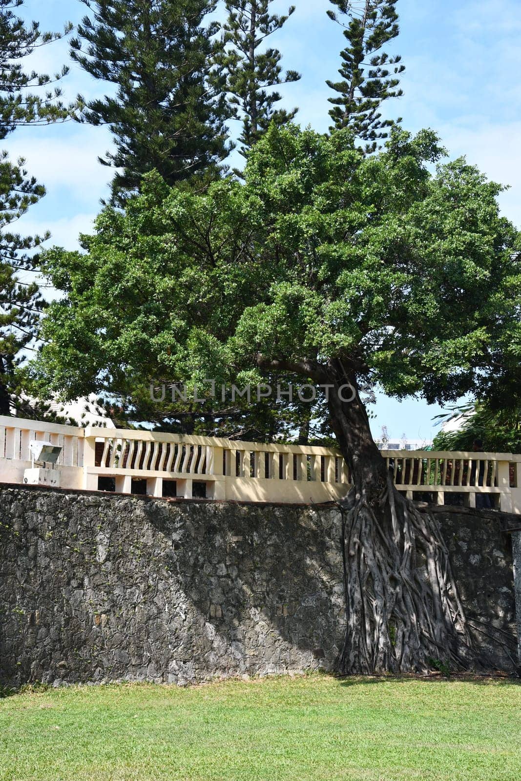 Vertical shot of the wall with a wooden fence around a Buddhist monastery in Taiwan