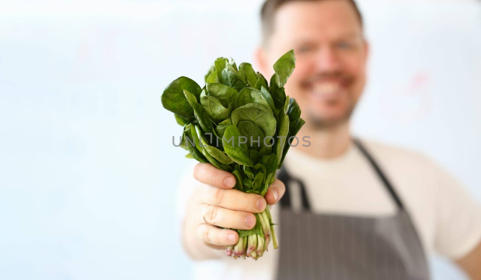 Smiling cook is holding lettuce or sorrel leaves closeup by kuprevich