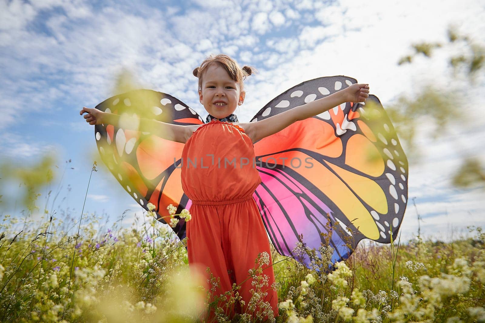 Portrait of little girl with Asian eyes and butterfly wings having fun and joy in meadow or field with grass, flowers on sunny summer day