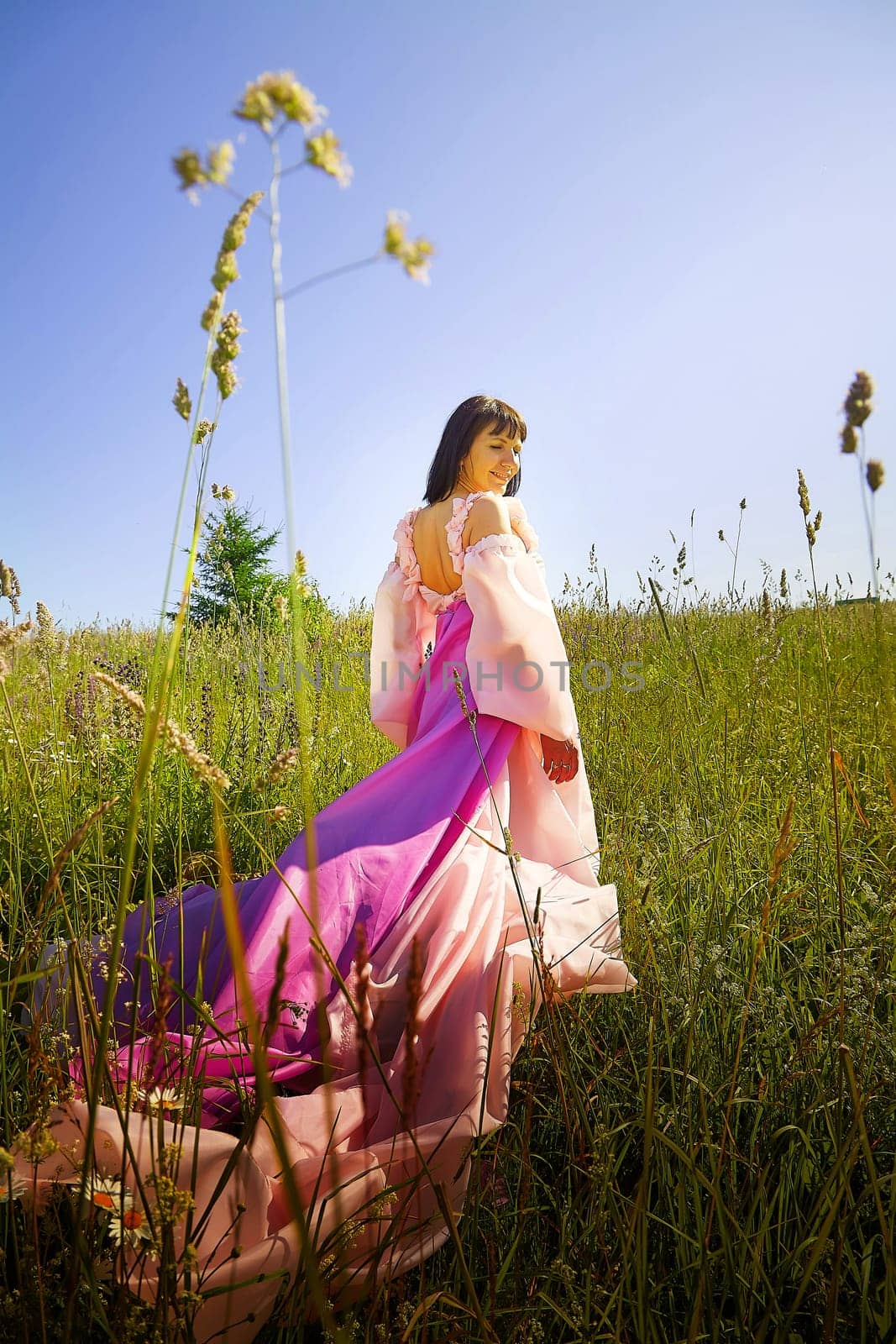 Beautiful girl in a lush pink ball gown in green field during blooming of flowers and blue sky on background. Model posing on nature landscape as princess from fary tale by keleny