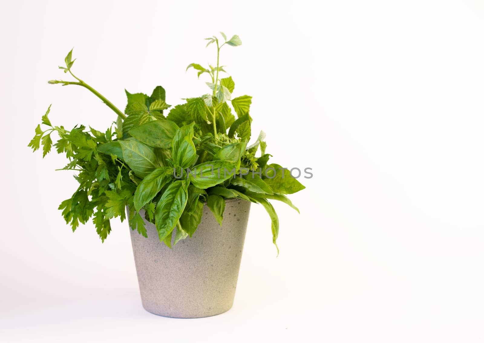 Fresh spicy aromatic herbs in a transparent glass beaker with water. Basil, sage, thyme, tarragon on a white background.