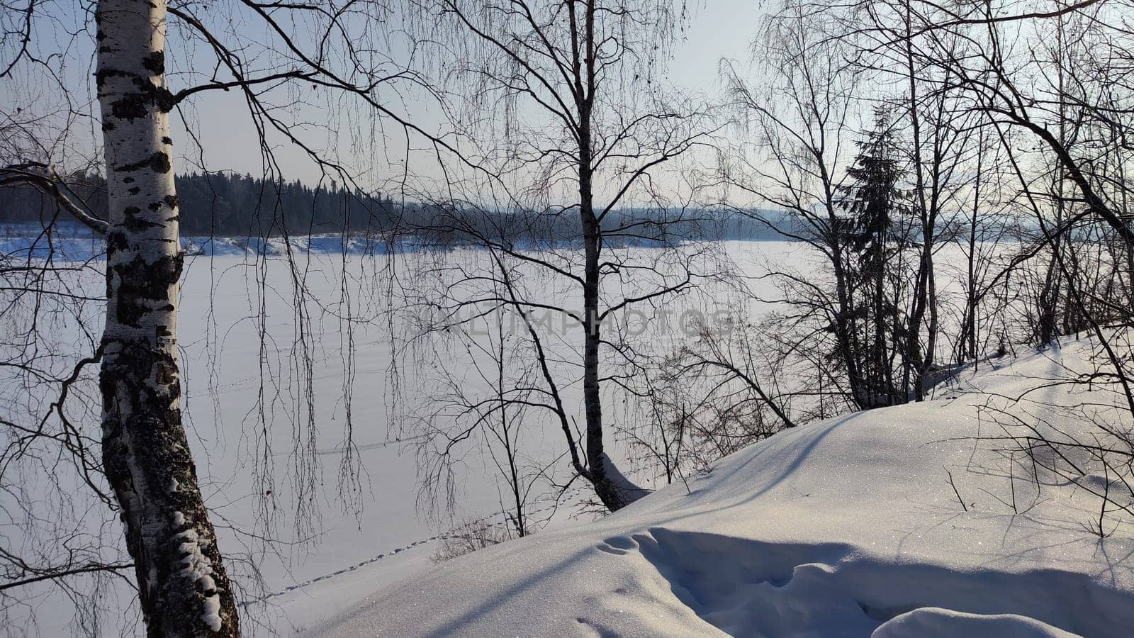 Winter landscape with trees on a cliff and view from height of frozen river or field with snow on cold sunny day with blue sky