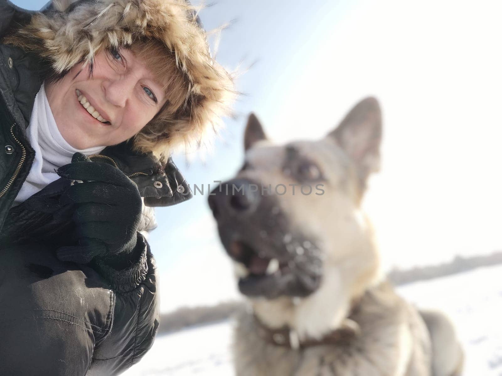 Adult girl or middle aged woman in a jacket with fluffy fur hood with shepherd dog in nature in winter on cold sunny day