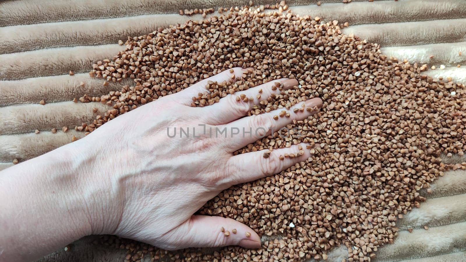 Brown buckwheat groats and hand of woman in it. Food for background and texture. Product and food that can be stored for long time. Partial focus