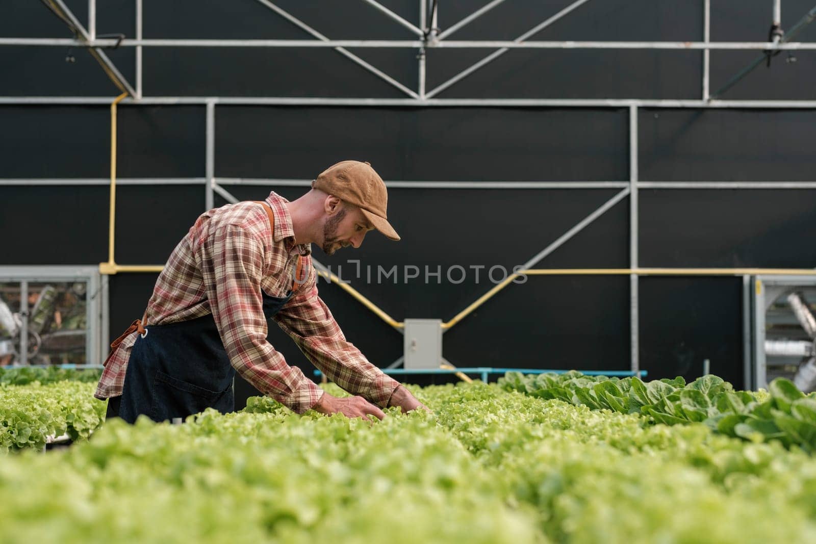 Farmer checking quality by tablet agriculture modern technology. Concept using modern technologies in agriculture...