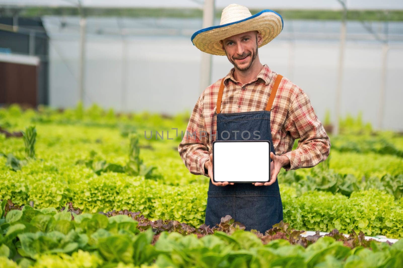 Farmer checking quality by table blank screen agriculture modern technology. Concept using modern technologies in agriculture. by wichayada
