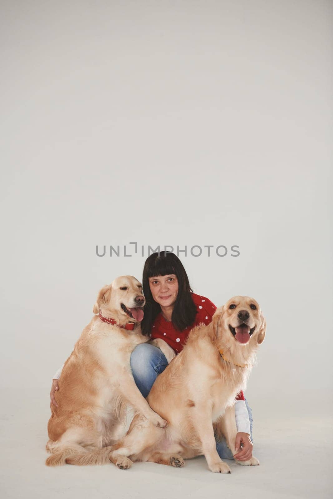 Woman is with her two Golden retrievers in the studio against white background by Standret