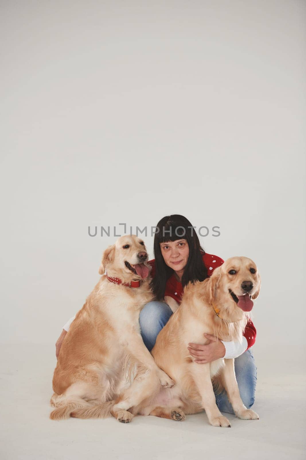 Woman is with her two Golden retrievers in the studio against white background.