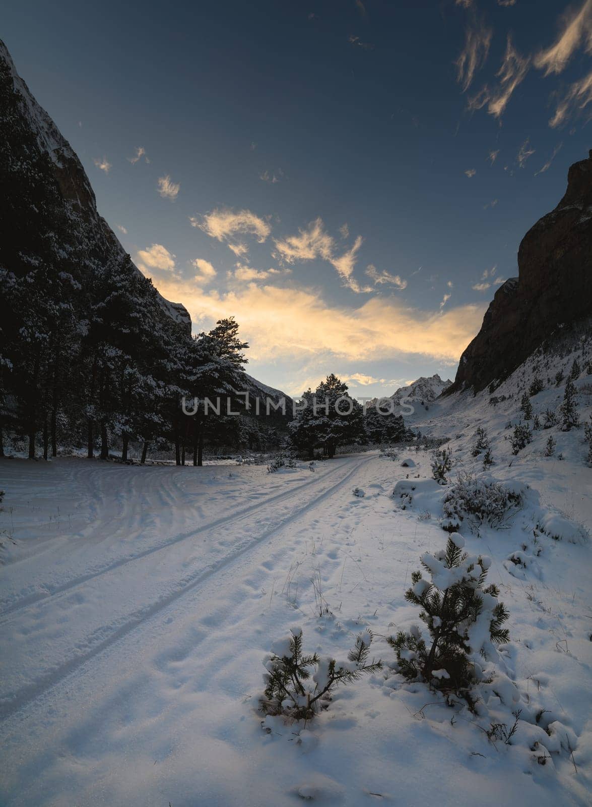 Fantastic winter landscape during sunset with colorful cloudy sky. Dramatic winter scene, snow-covered trees. Gorgeous alpine winter.