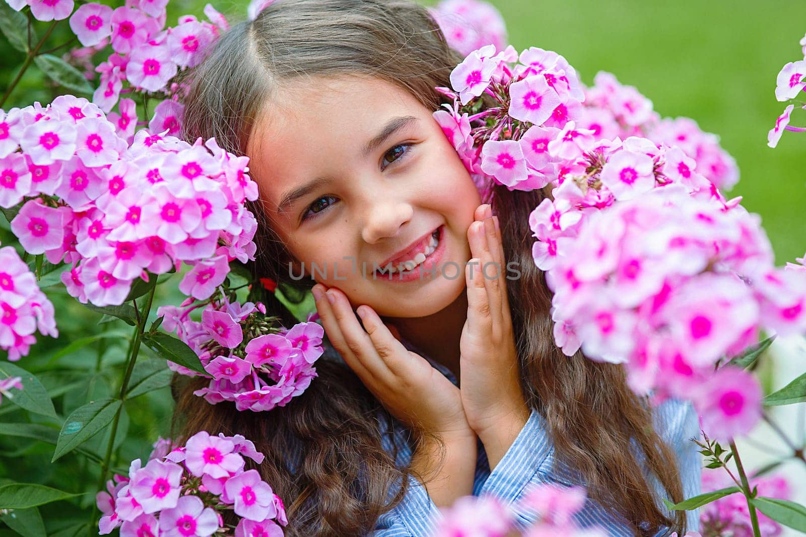 Adorable little girl in lush pink phlox flowers, summer. Close up