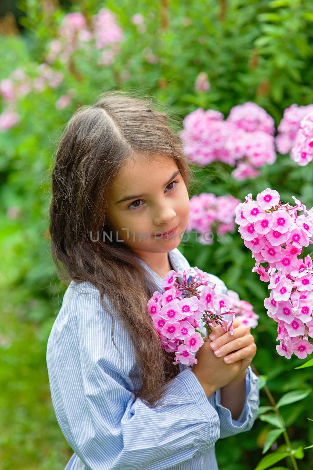 adorable little girl with pink phlox flowers, summer. Close up. Vertical