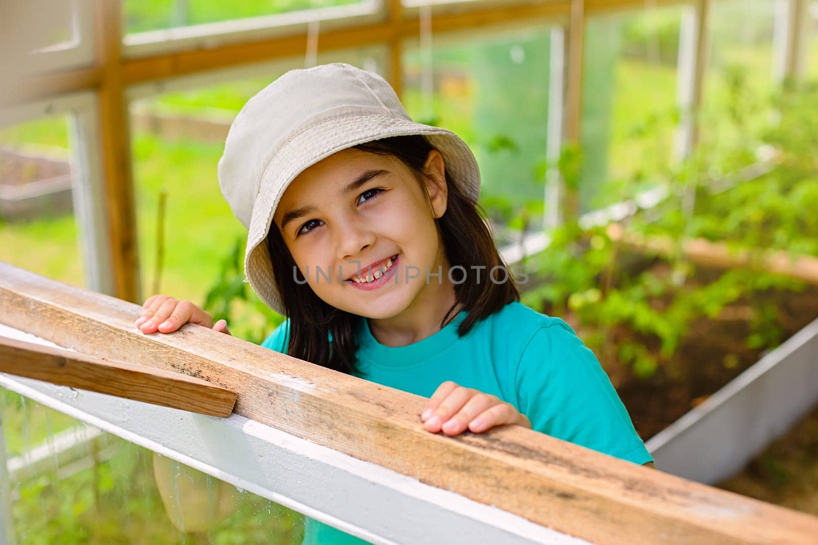 Pretty little girl in a white panama, looks out of the window of a wooden vegetable greenhouse, in summer, on a sunny day