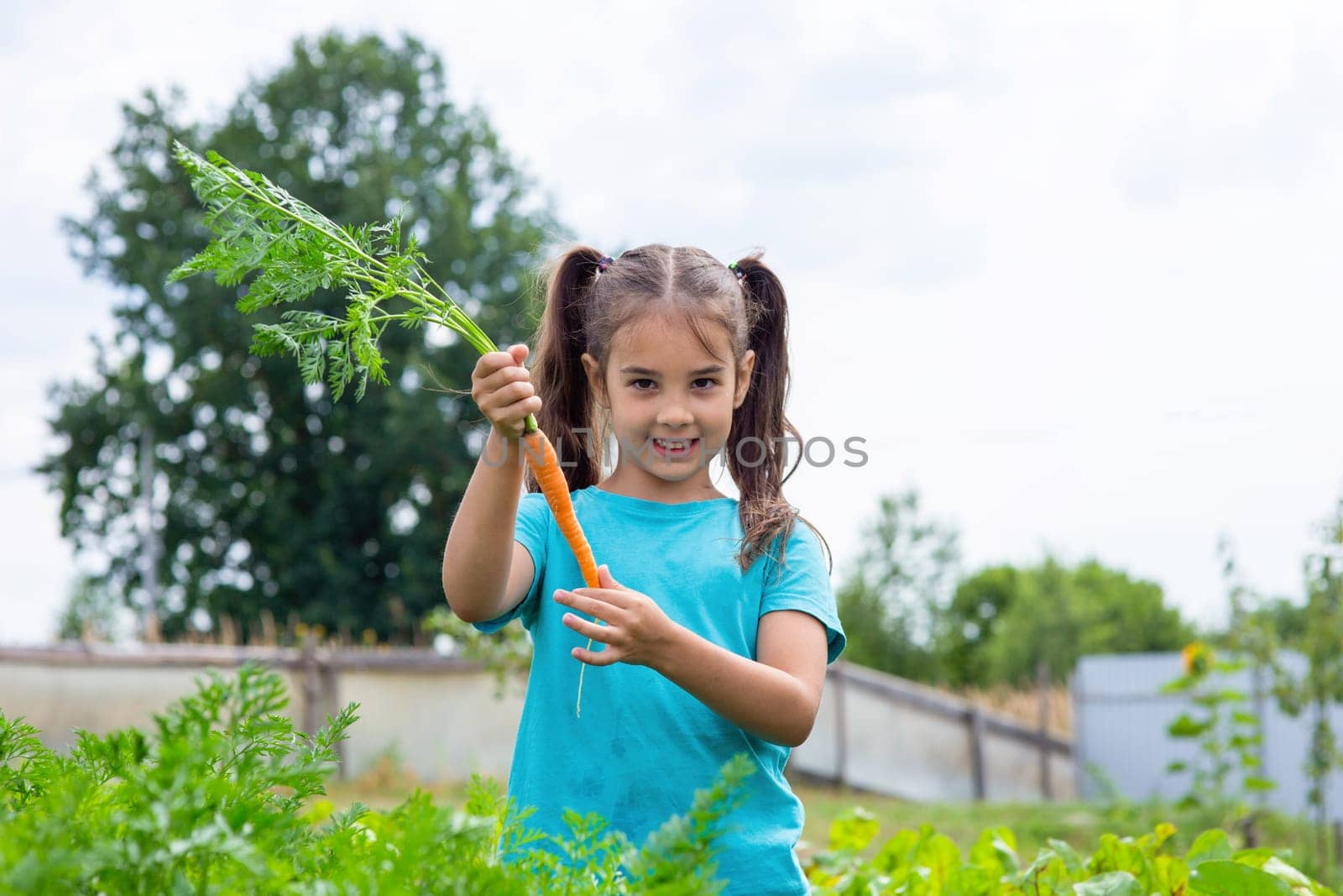 Cute little girl in green t-shirt holding fresh carrot and showing thumbs up, standing in the garden on a sunny day. Copy space