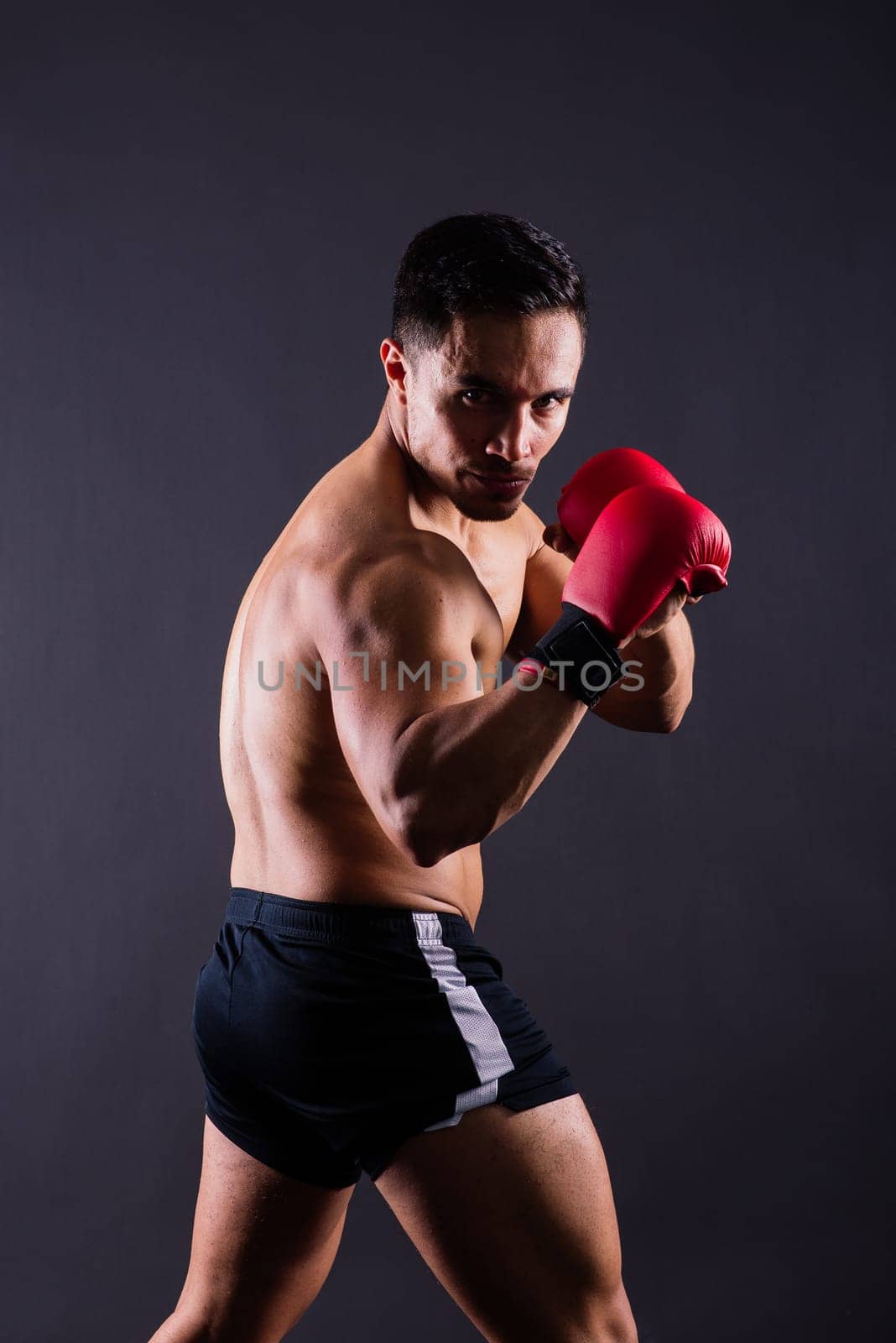 Muscular model sports young man in boxing gloves on grey background. Male flexing his muscles. by Zelenin