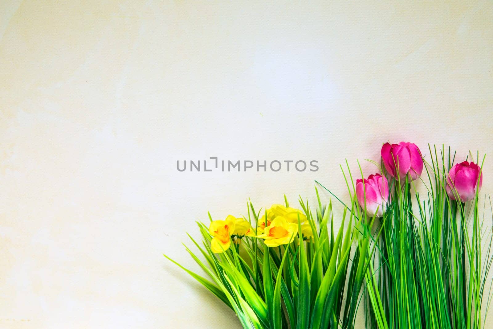 Spring nature background with lovely blossom pink tulips and yellow daisys bright pastel color background, top view, banner. Springtime concept copy space by Annebel146