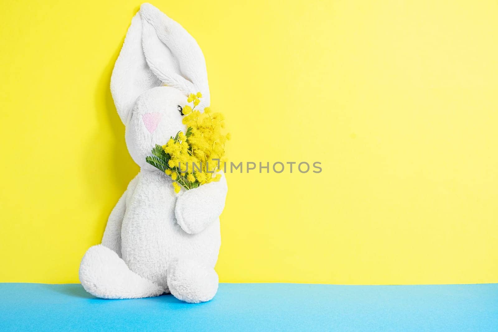 Easter white bunny on a yellow blue background. Easter holiday concept. Copy space