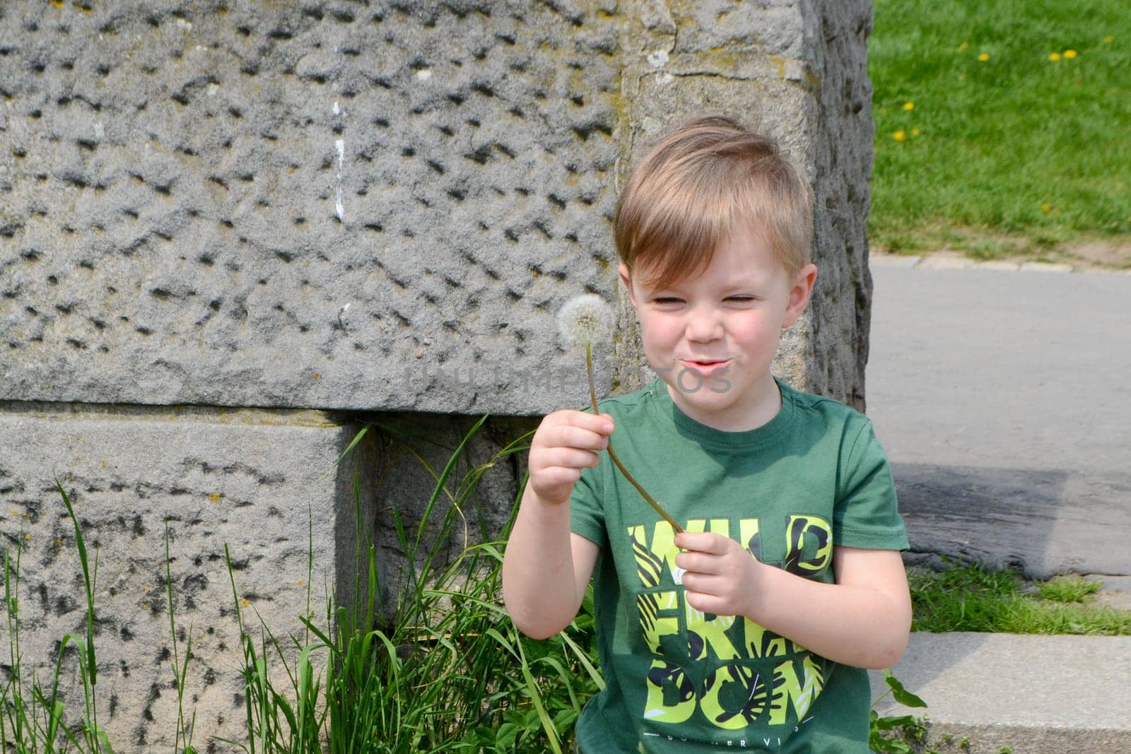 A happy boy blows on a bouquet of white dandelions on a sunny summer evening in a field, the fluff from it flies. The concept of outdoor recreation in childhood. High quality photo