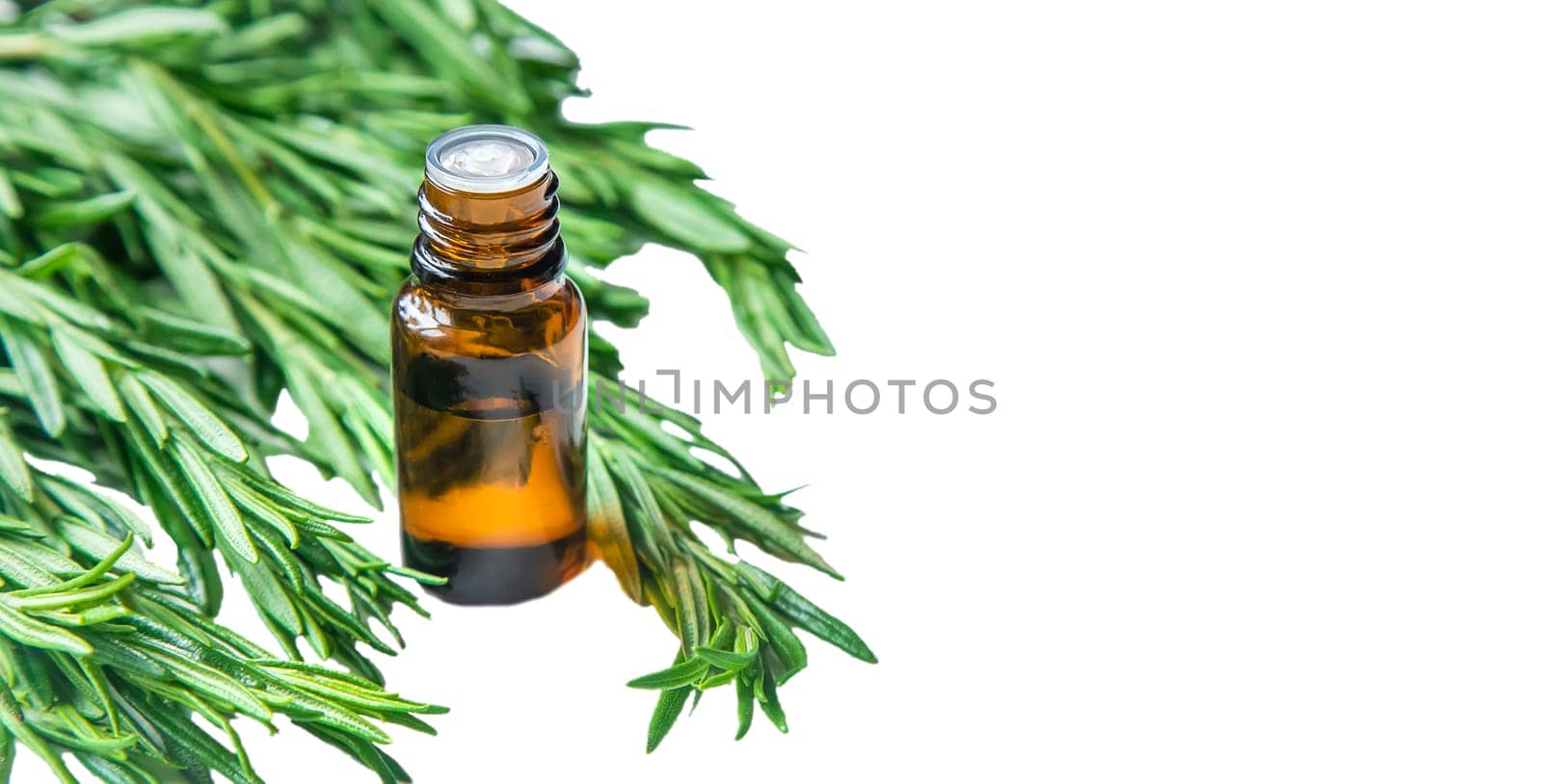 Rosemary essential oil in a small bottle. Selective focus. Nature.