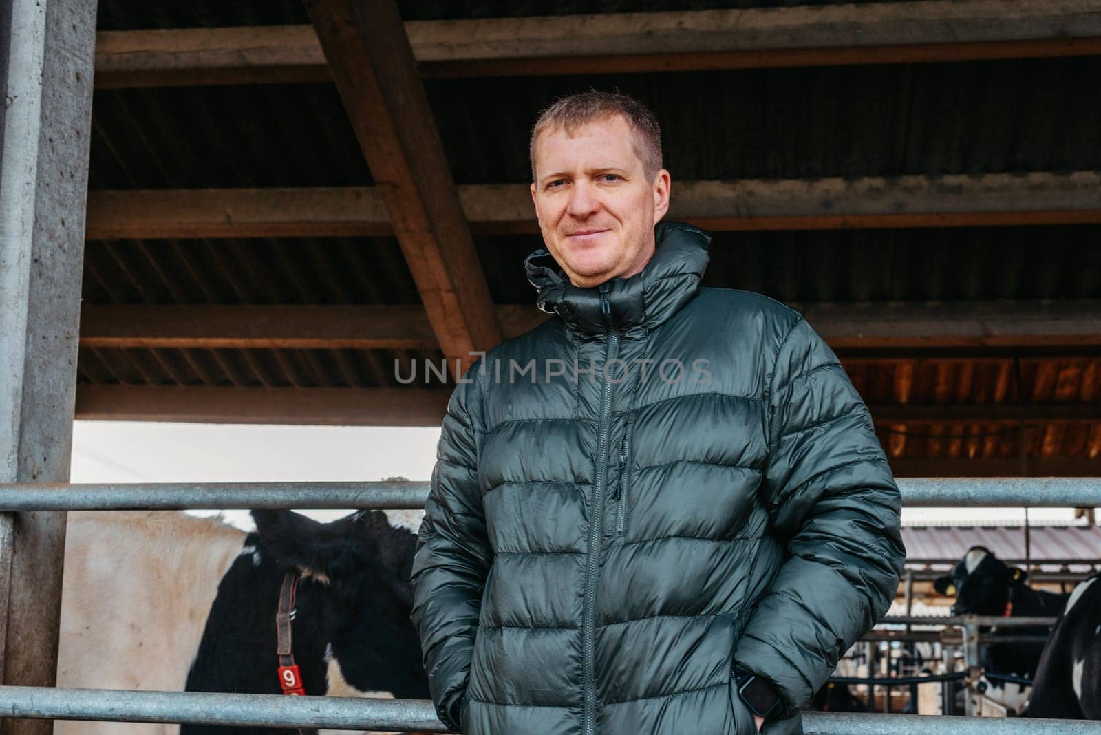 Man Farmer near his cows. Portrait of a young farm owner standing in a long cowshed near the corral with calves. Man in ordinary clothes checks the condition of the animals on the dairy farm.