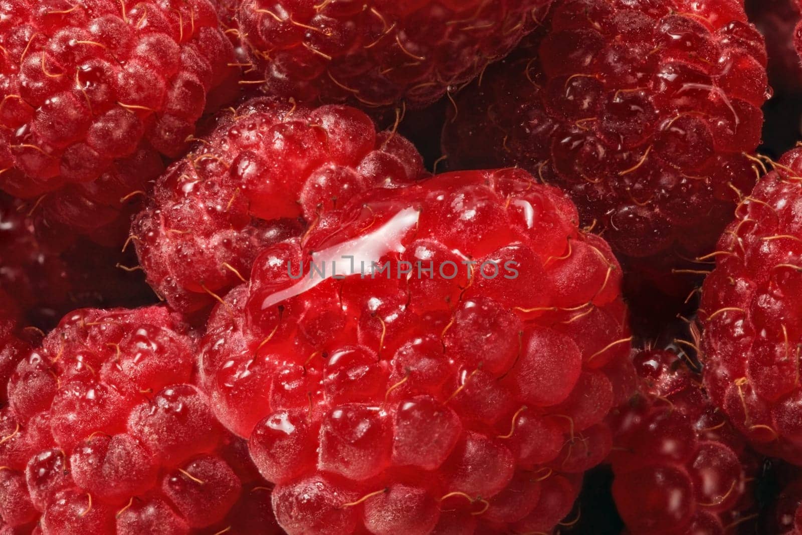 Close up photo of wet raspberries, drops of water reflecting light.