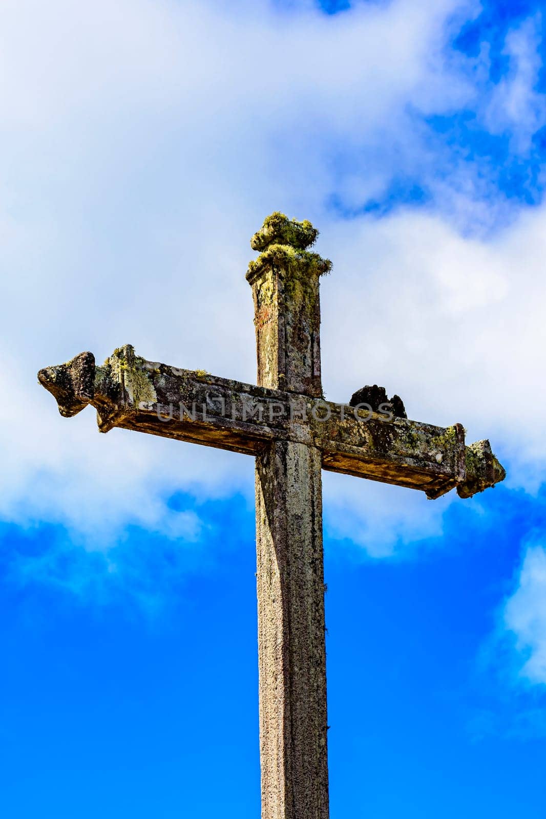 Ancient stone Catholic crucifix covered by parasitic plants by Fred_Pinheiro