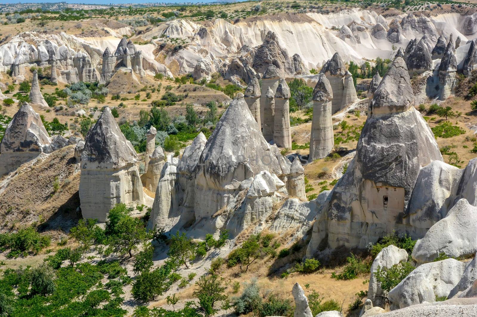 Valley with famous rock formations in Cappadocia by Fred_Pinheiro