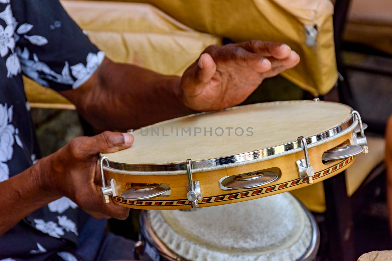 Hands and instrument of musician playing tambourine by Fred_Pinheiro