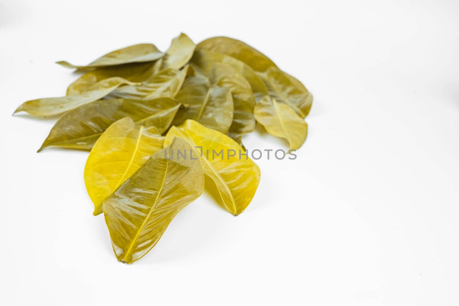 Bay leaves after being boiled and put on the white table. Isolated for copy space.