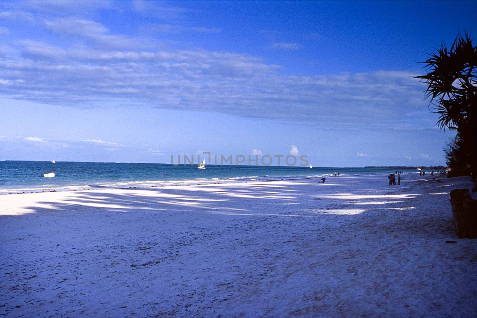 Kiwengwa beach, Zanzibar, Tanzania, Africa