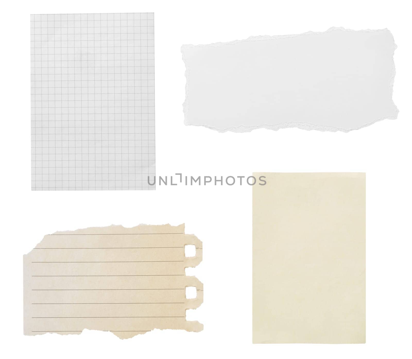 collection of various ripped pieces of paper on white background. each one is shot separately
