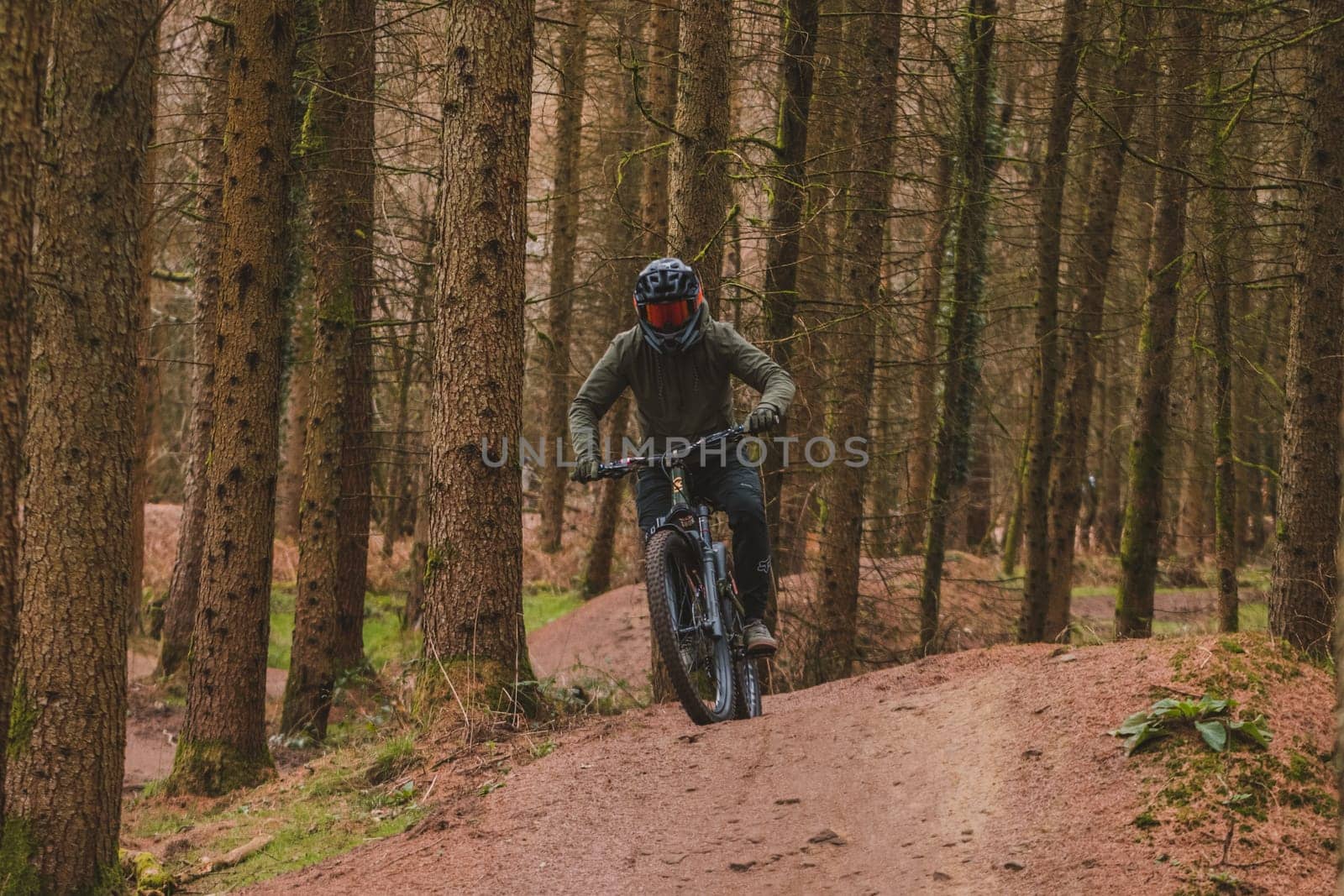 Mountain bikers . High quality photo