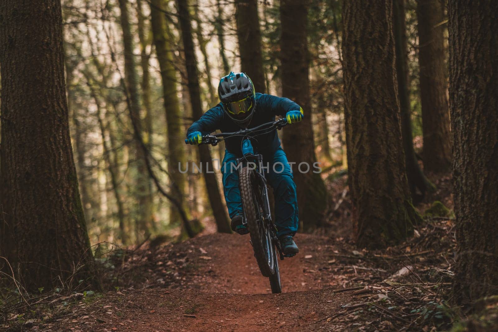 Mountain bikers . High quality photo