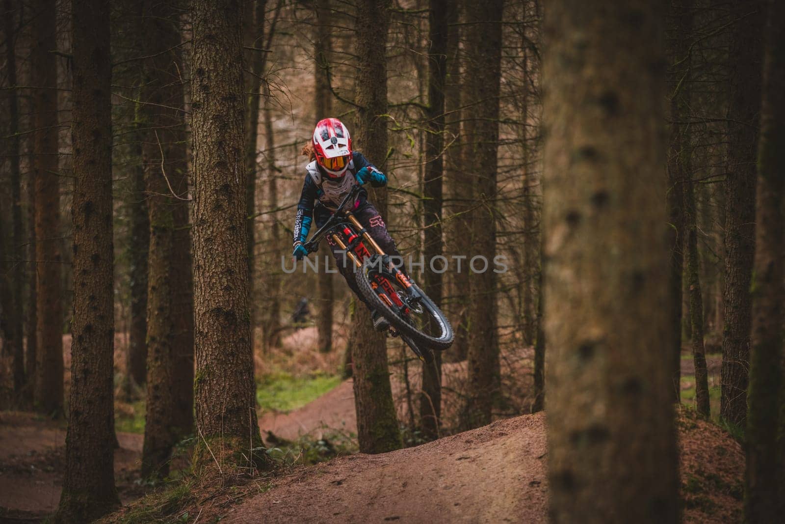 Mountain bikers . High quality photo