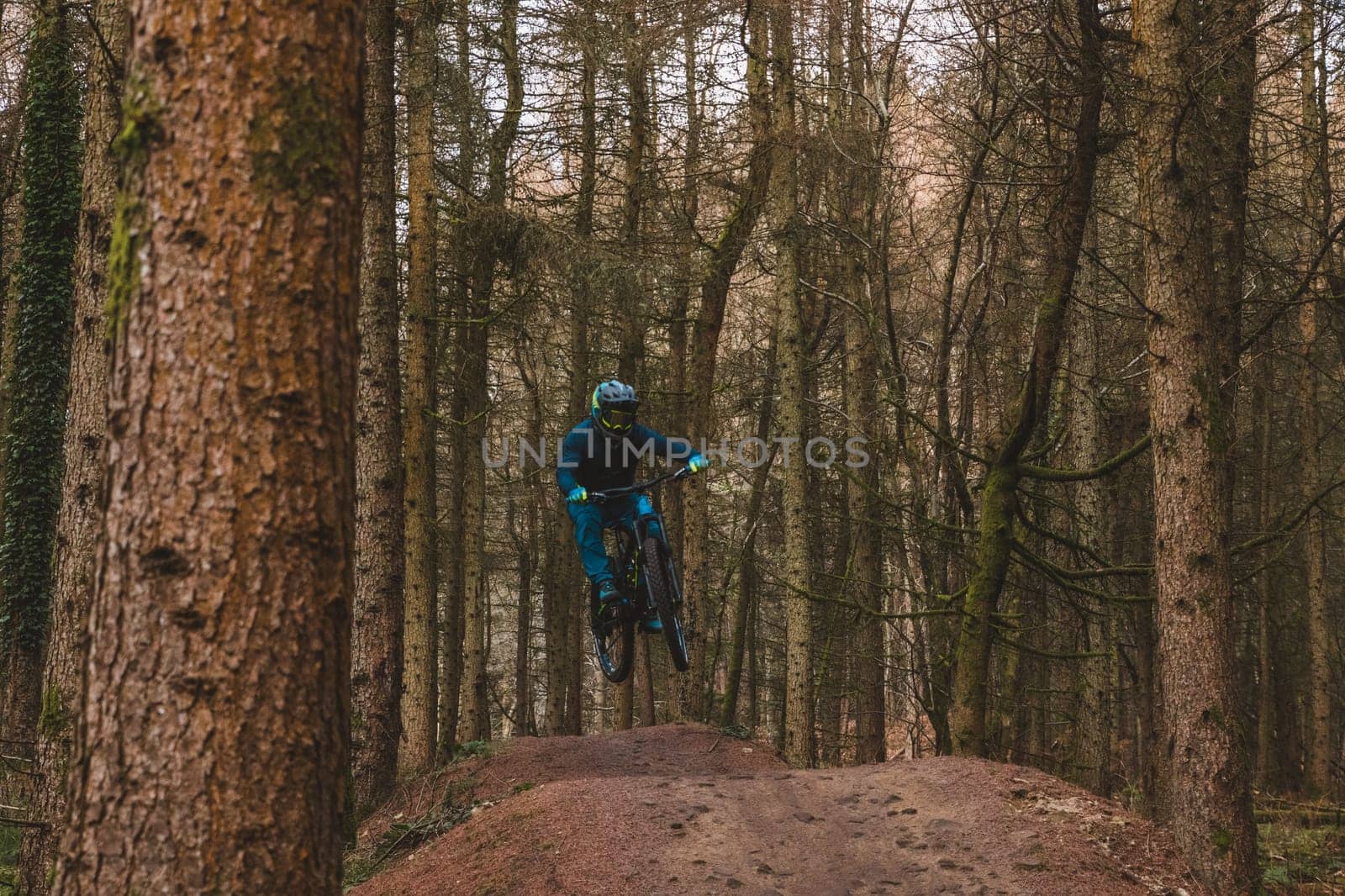 Mountain bikers . High quality photo