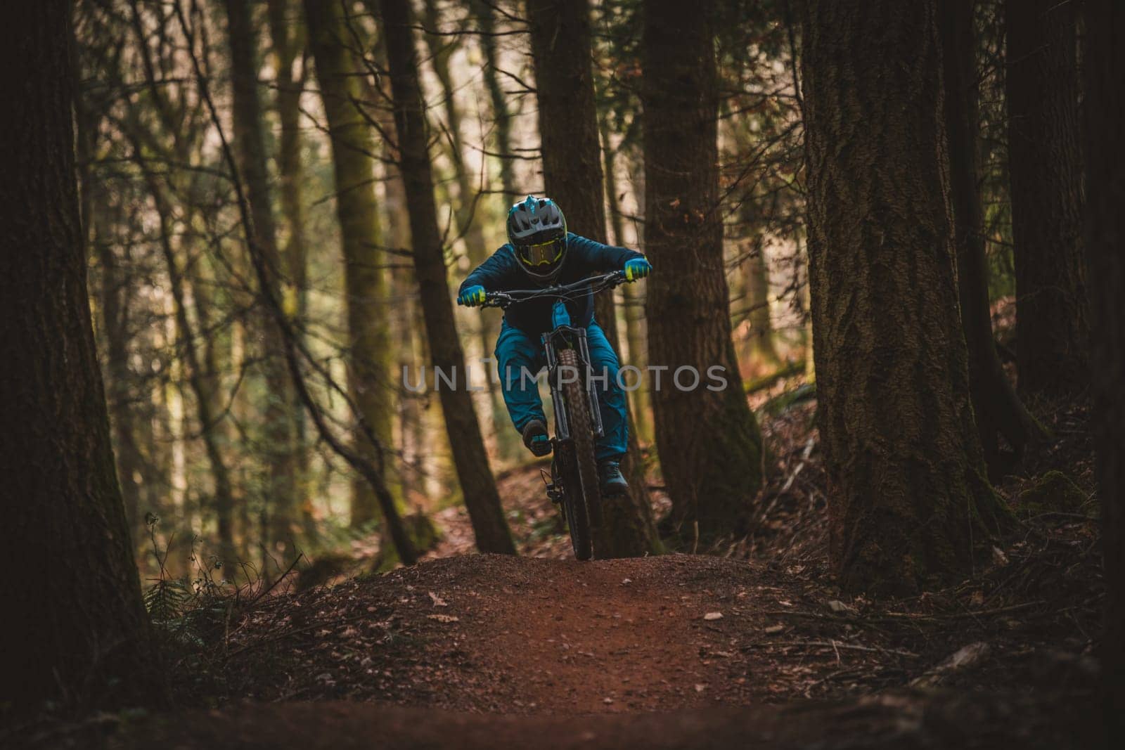 Mountain bikers . High quality photo