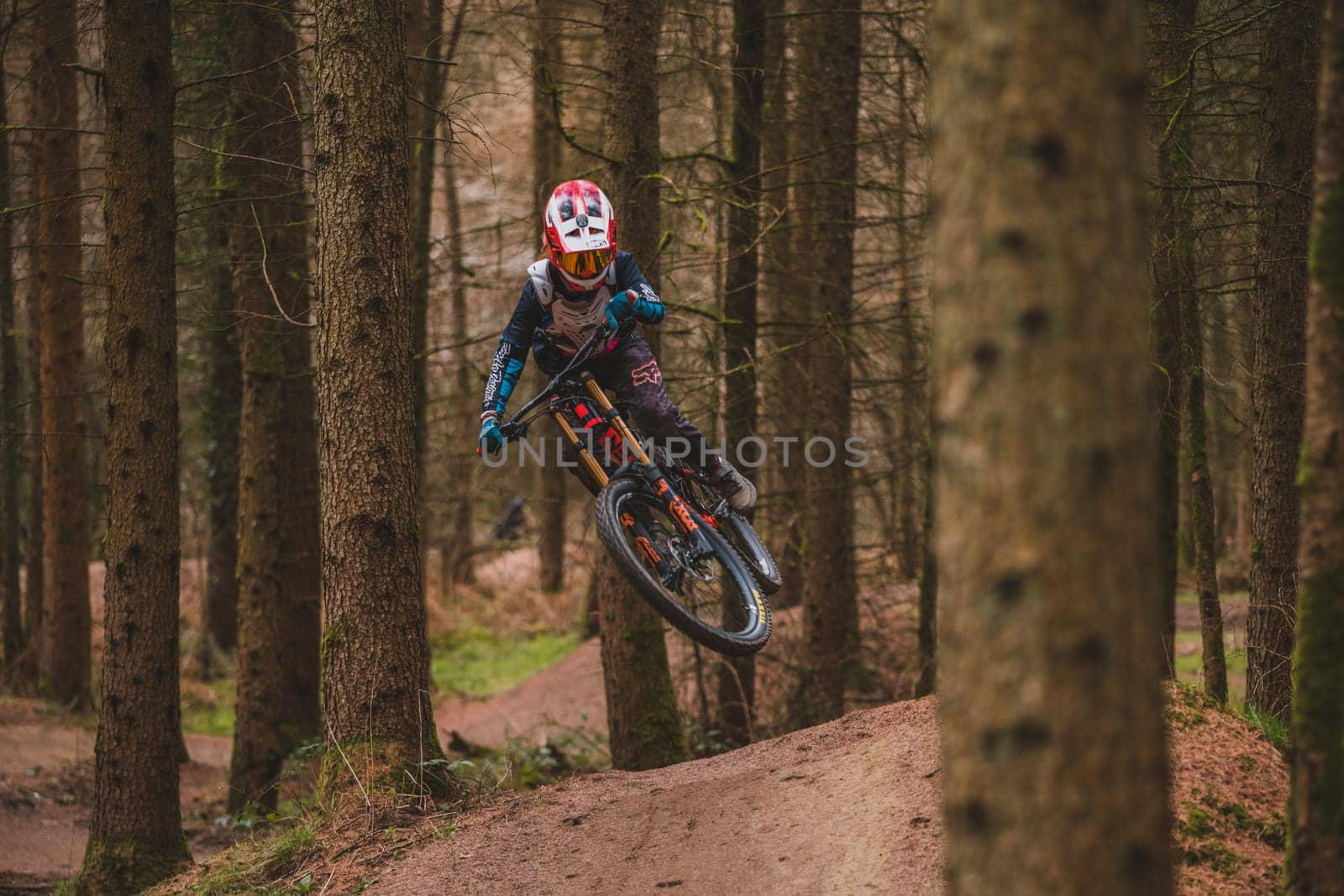 Mountain bikers . High quality photo