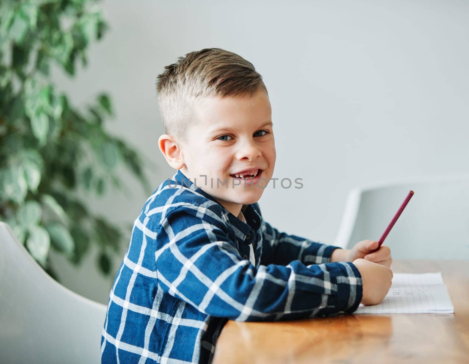 portrait of a boy doing his homework at home