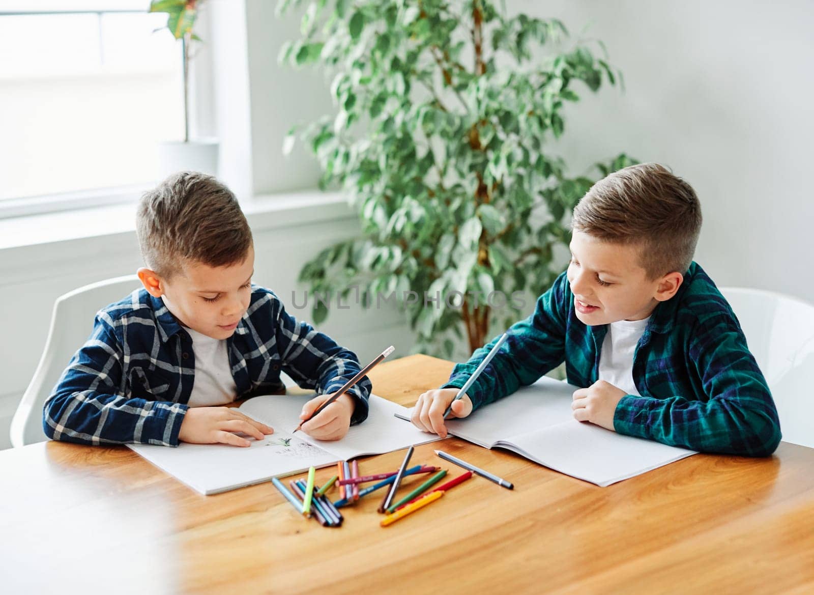 portrait of two boys brothers doing their homework at home