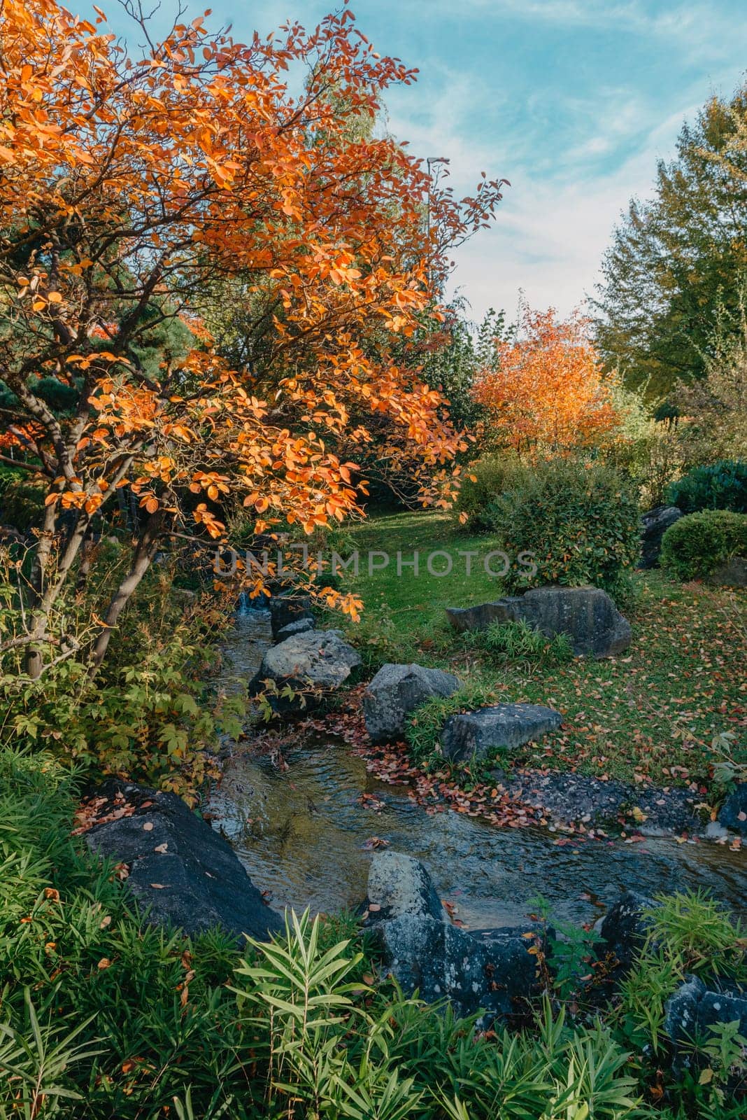 Autumn creek woodland with sunny yellow trees foliage rocks in forest mountain. Idyllic travel hiking landscape, beautiful seasonal autumn nature. Amazing dream scenic colorful outdoor inspire nature. Beautiful waterfall at mountain river in colorful autumn forest with red and orange leaves at sunset. Nature landscape