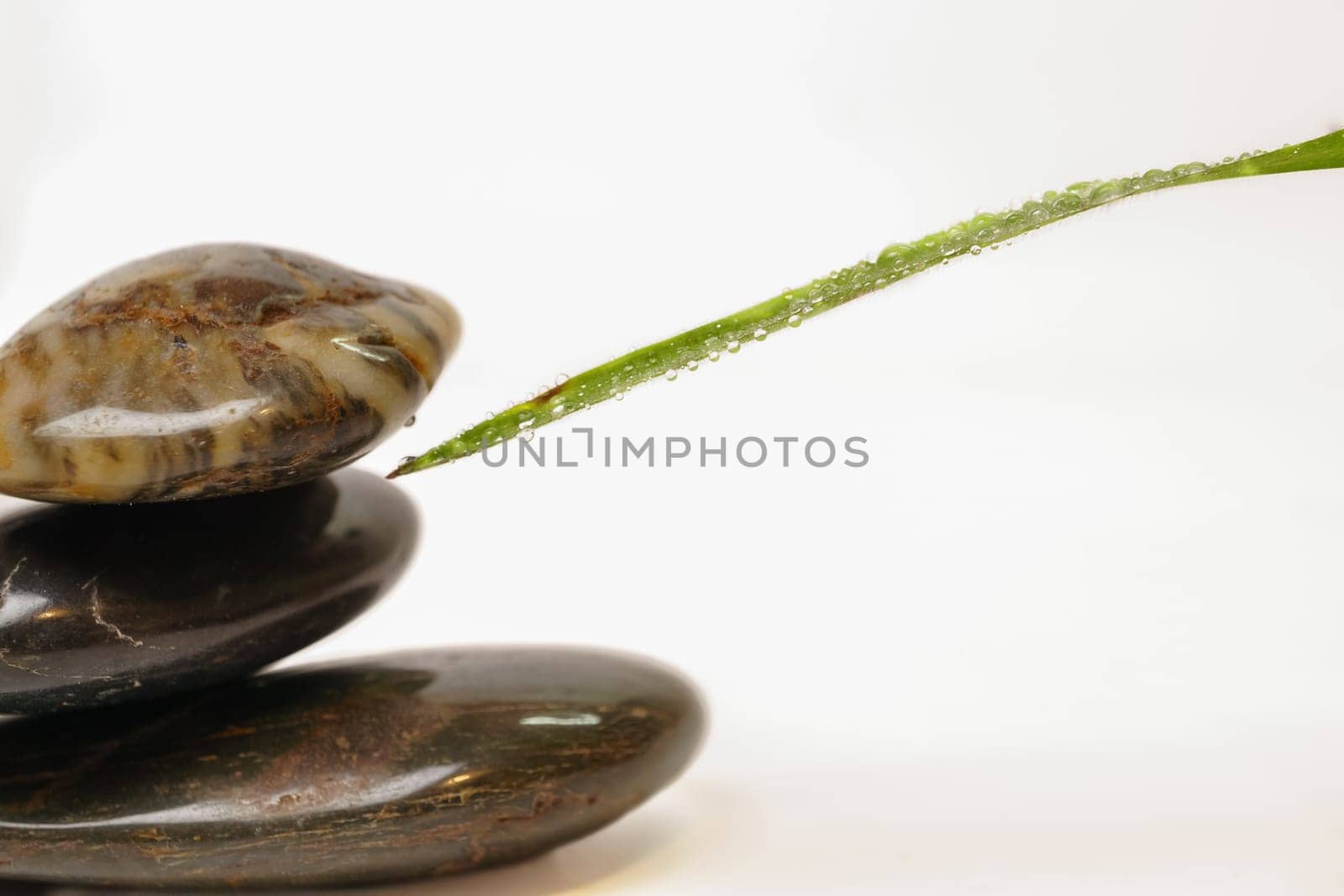 green leaf with dewdrops and stacked stones, zen image isolated on white background