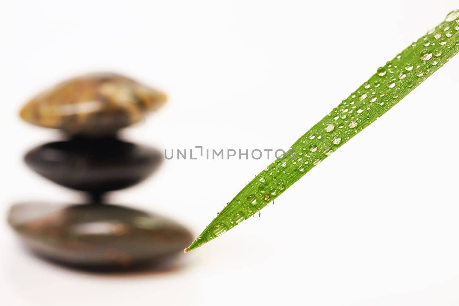 green leaf with dewdrops and stacked stones, zen image isolated on white background