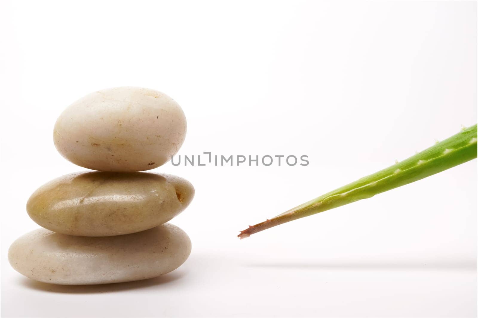 close-up of green aloe vera leaf with dewdrops and stacked stones isolated on white background
