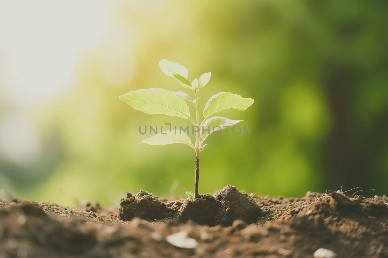 Young green plant growing at sunlight in the garden. World Earth Day banner. Save world concept.