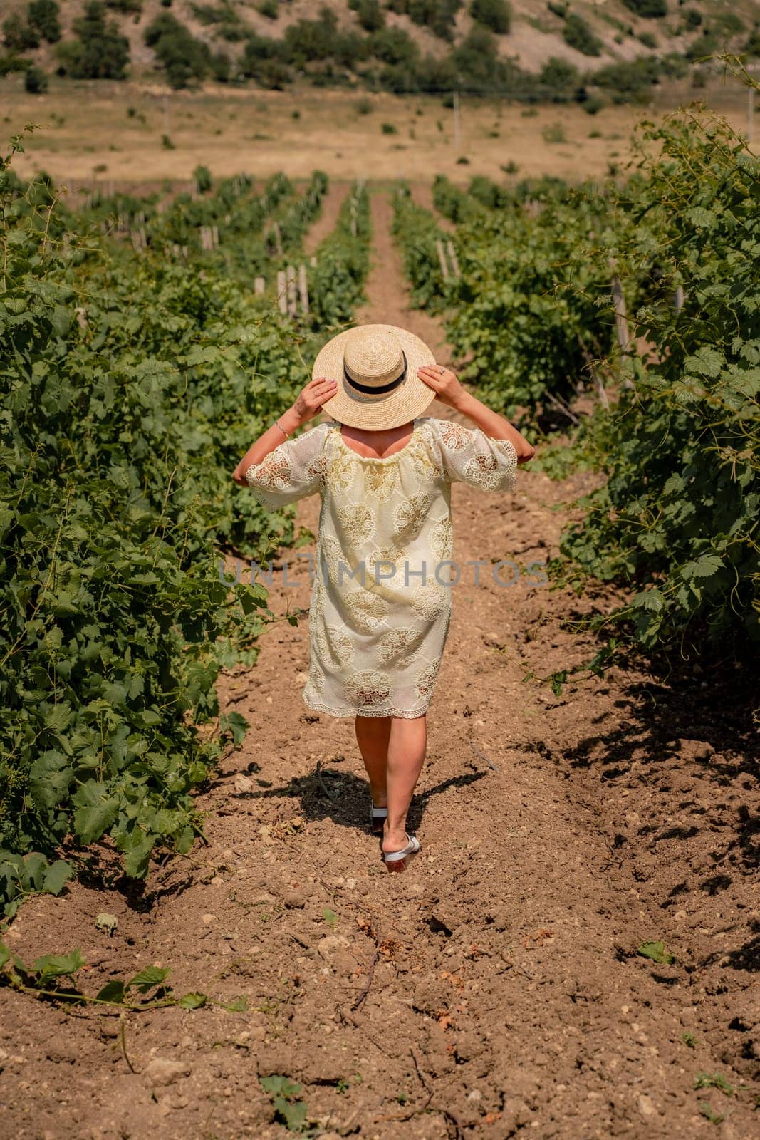 a young beautiful girl in a white dress and hat is walking through a vineyard by Matiunina